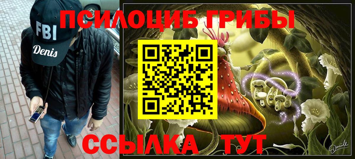 Галлюциногенные грибы Cubensis  Псилоцибиновые грибы Cubensis  Вход с VPN  Новороссийск 